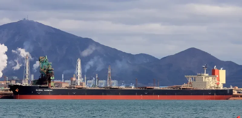 GLOBAL HARMONY Bulk Carrier IMO 9340001 photo 8