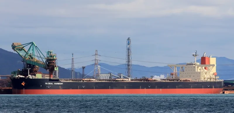 GLOBAL HARMONY Bulk Carrier IMO 9340001 photo 9