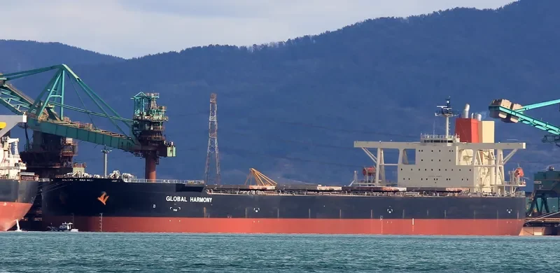 GLOBAL HARMONY Bulk Carrier IMO 9340001 photo 10