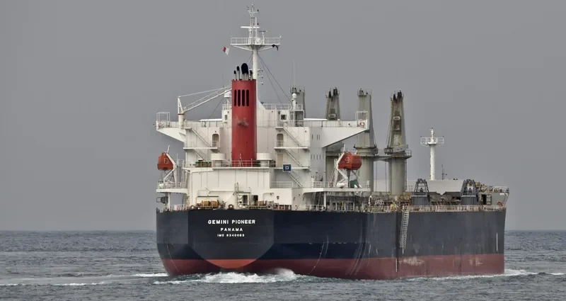 AGIA EIRINI FORCE Bulk Carrier IMO 9340063 photo 6