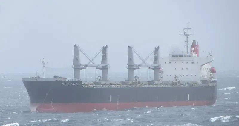 AGIA EIRINI FORCE Bulk Carrier IMO 9340063 photo 9