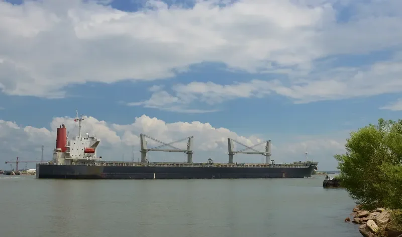 AGIA EIRINI FORCE Bulk Carrier IMO 9340063 photo 10