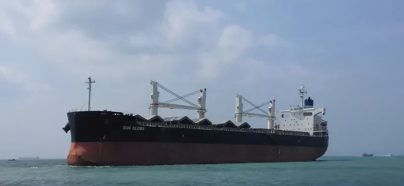 SUN GLOBE Bulk Carrier IMO 9340506 photo 3