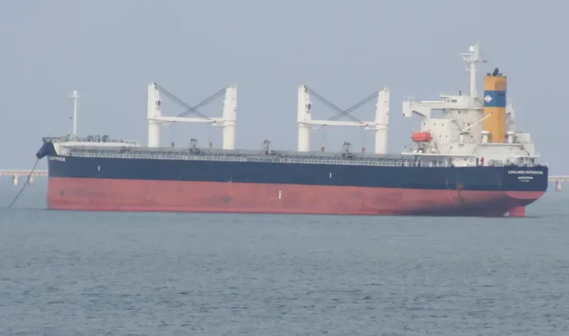 SUN GLOBE Bulk Carrier IMO 9340506 photo 9