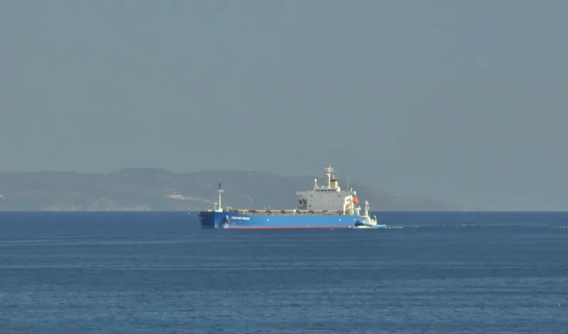 FORTUNE MIRACLE Bulk Carrier IMO 9340544 photo 4