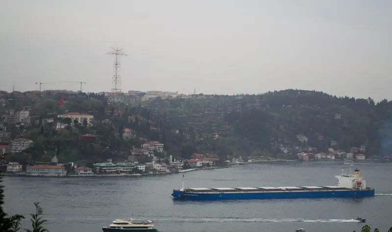 FORTUNE MIRACLE Bulk Carrier IMO 9340544 photo 6