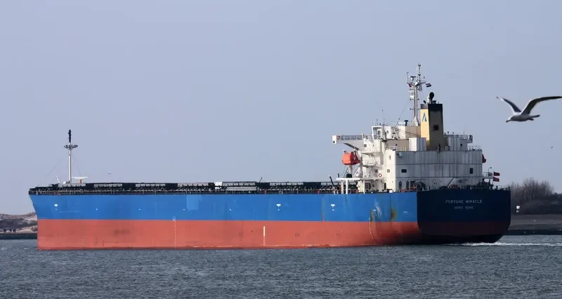 FORTUNE MIRACLE Bulk Carrier IMO 9340544 photo 7