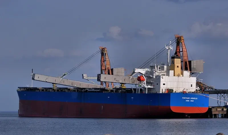 FORTUNE MIRACLE Bulk Carrier IMO 9340544 photo 8