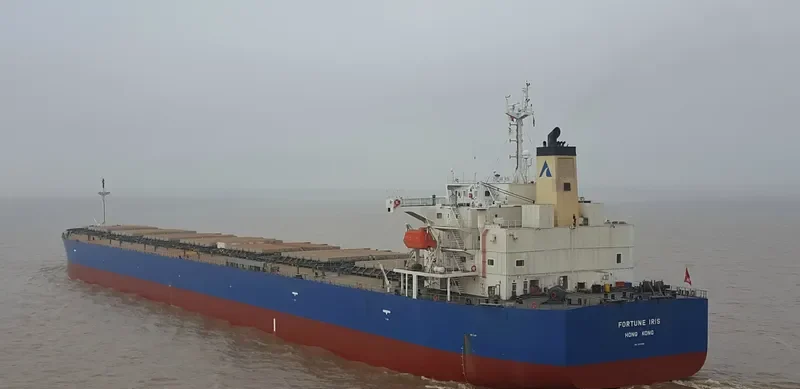 FORTUNE IRIS Bulk Carrier IMO 9340556