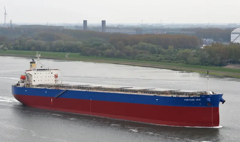 FORTUNE IRIS Bulk Carrier IMO 9340556 photo 2