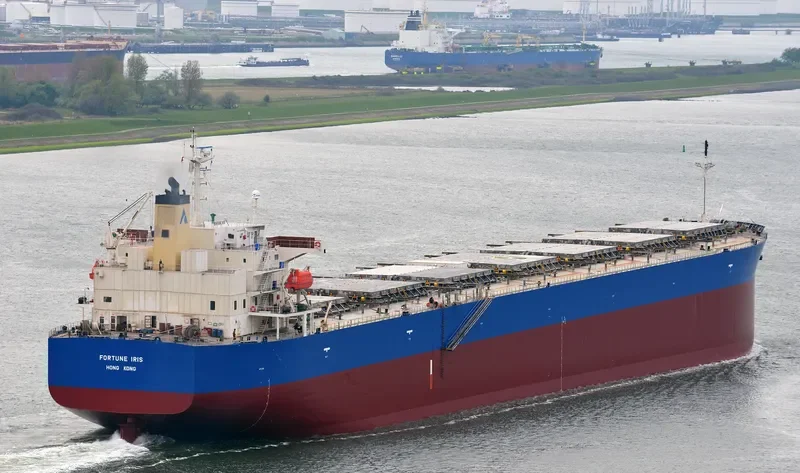 FORTUNE IRIS Bulk Carrier IMO 9340556 photo 3