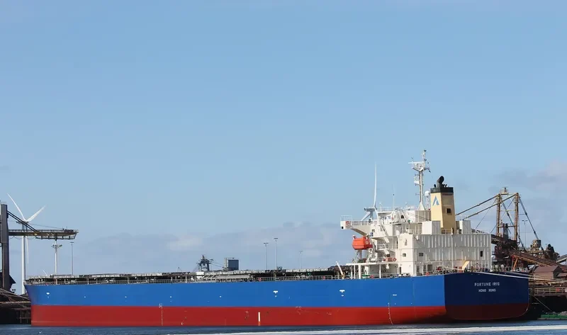 FORTUNE IRIS Bulk Carrier IMO 9340556 photo 4