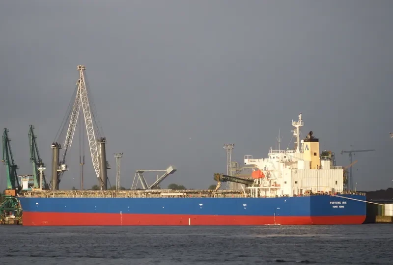FORTUNE IRIS Bulk Carrier IMO 9340556 photo 5