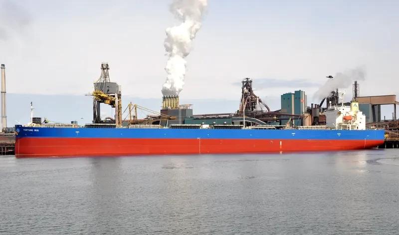 FORTUNE IRIS Bulk Carrier IMO 9340556 photo 6