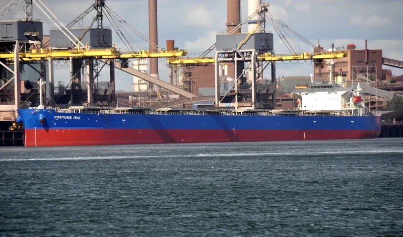 FORTUNE IRIS Bulk Carrier IMO 9340556 photo 8