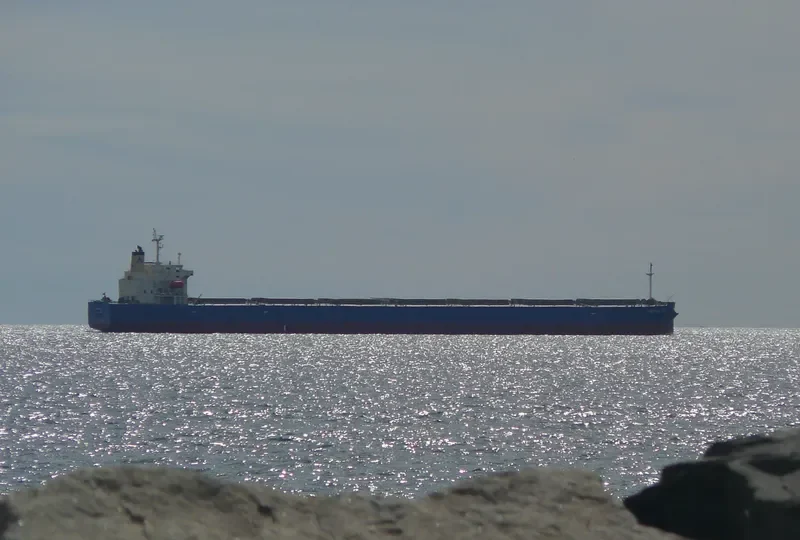 FORTUNE IRIS Bulk Carrier IMO 9340556 photo 10