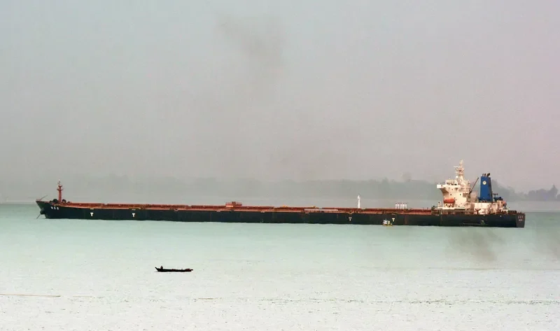 H S C Bulk Carrier IMO 9340726 photo 6