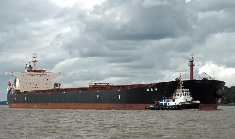 H S C Bulk Carrier IMO 9340726 photo 7