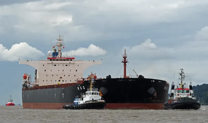H S C Bulk Carrier IMO 9340726 photo 8