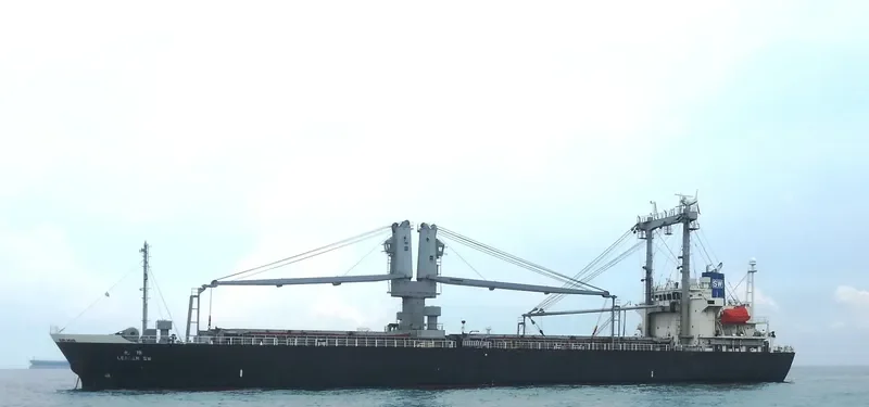 DS PROSPER General Cargo IMO 9341005 photo 2