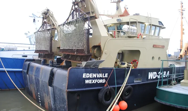 EDENVALE General Cargo IMO 9341055 photo 7