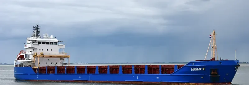DANITA General Cargo IMO 9341108 photo 5