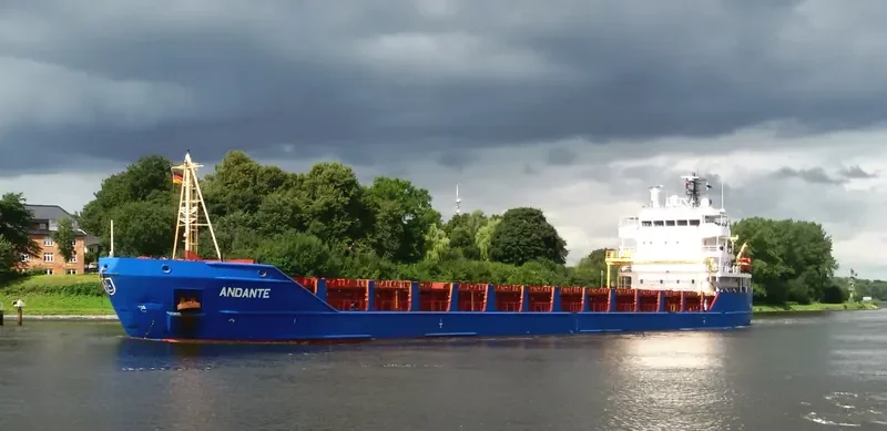 DANITA General Cargo IMO 9341108 photo 10