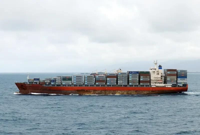 DELOS WAVE Container Ship IMO 9341110 photo 2