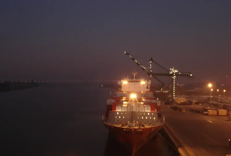 DELOS WAVE Container Ship IMO 9341110 photo 17