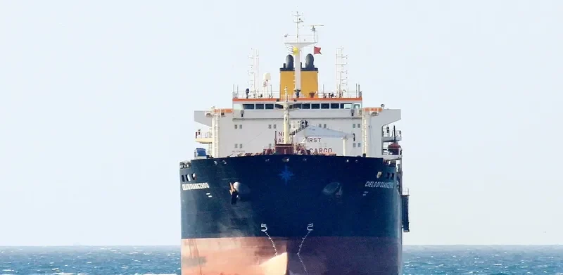 DELPHINE Tanker IMO 9341512 photo 4