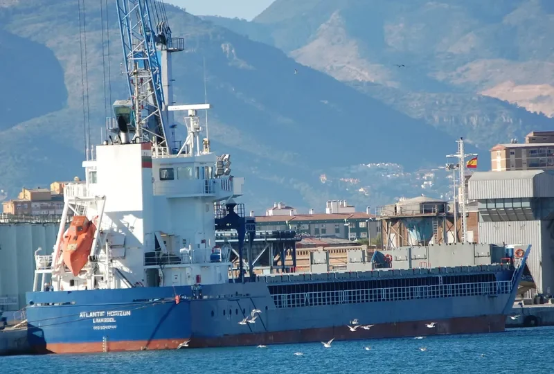 ATLANTIC HORIZON Container Ship IMO 9341744 photo 5