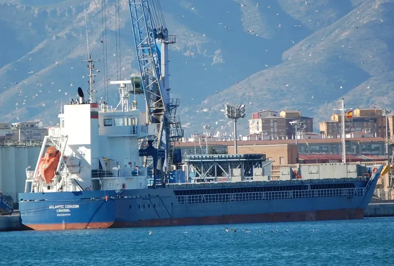 ATLANTIC HORIZON Container Ship IMO 9341744 photo 6