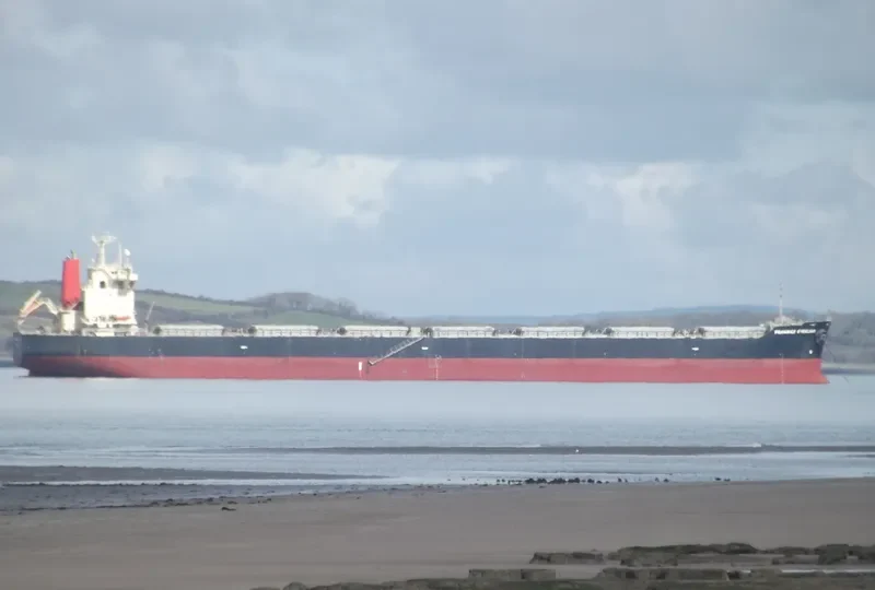 KMAX EVDOKIA Bulk Carrier IMO 9341873 photo 10