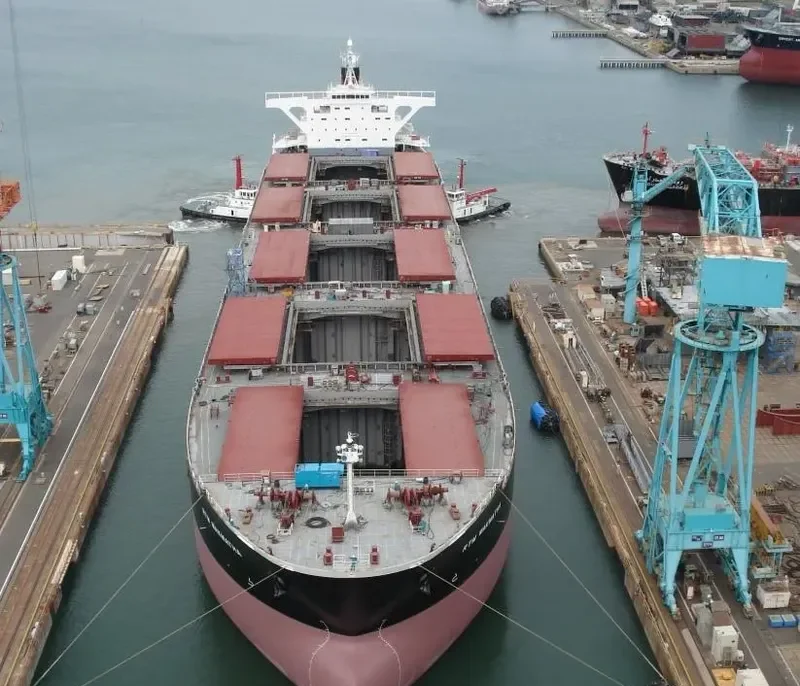 RTM WAKMATHA Bulk Carrier IMO 9341914