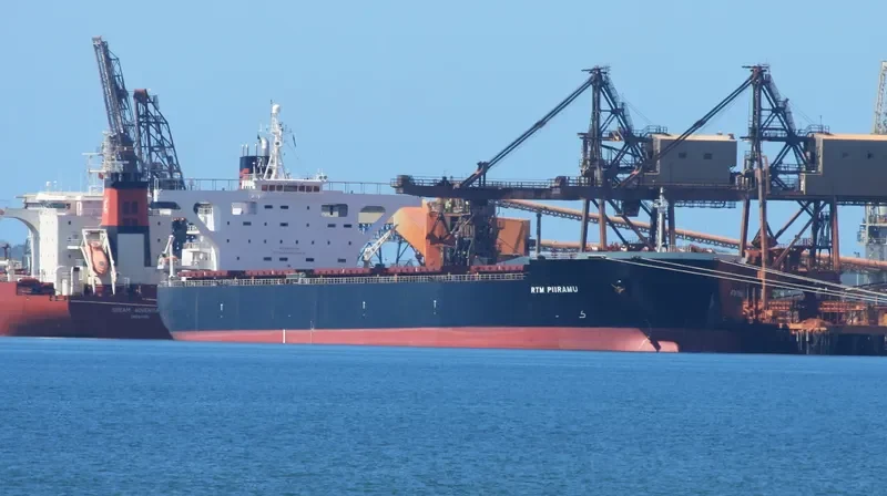 RTM PIIRAMU Bulk Carrier IMO 9341926