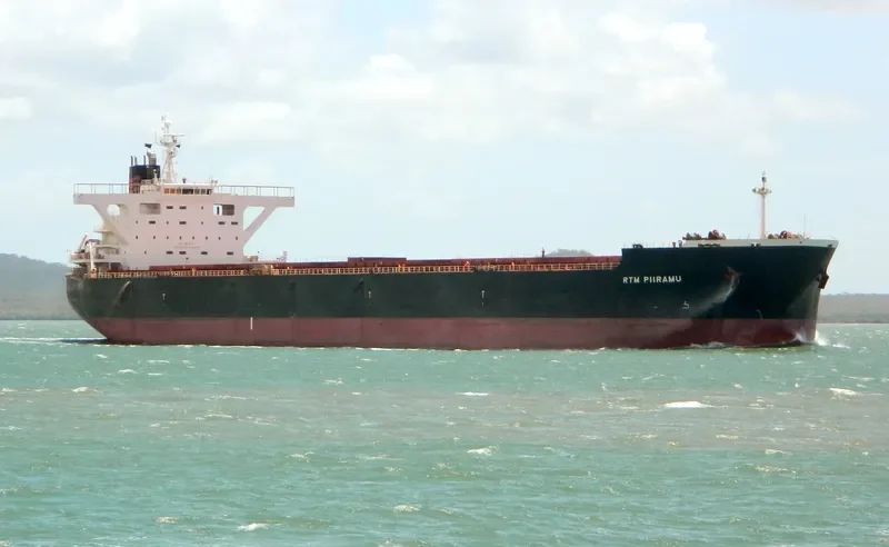 RTM PIIRAMU Bulk Carrier IMO 9341926 photo 2