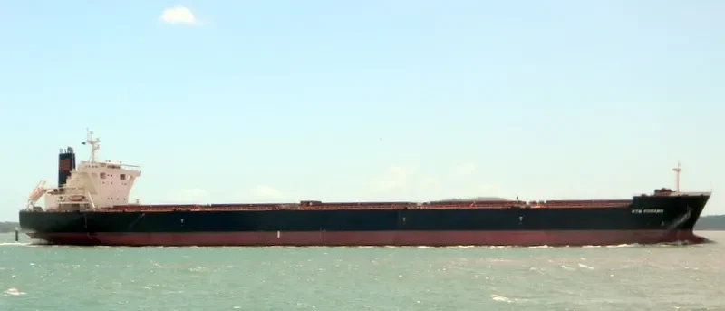 RTM PIIRAMU Bulk Carrier IMO 9341926 photo 3