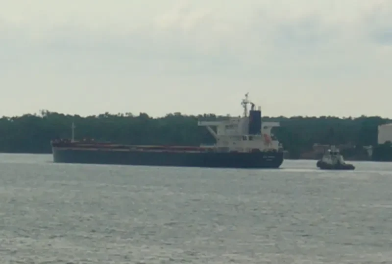 RTM PIIRAMU Bulk Carrier IMO 9341926 photo 4