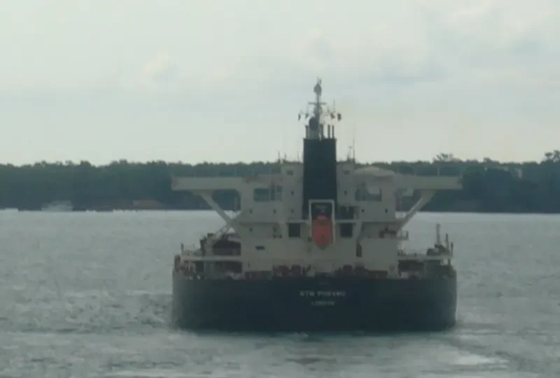 RTM PIIRAMU Bulk Carrier IMO 9341926 photo 5