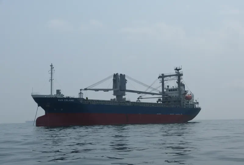 HAI DUONG 09 General Cargo IMO 9342243 photo 10