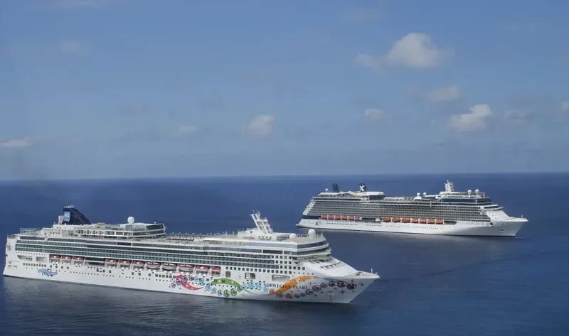 NORWEGIAN PEARL Passenger Ship IMO 9342281 photo 7