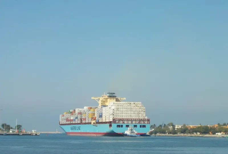 MAERSK ANTARES Container Ship IMO 9342504 photo 8