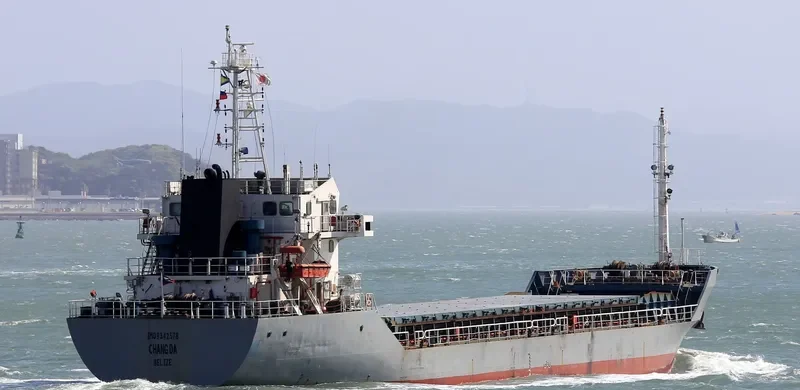 CHANG DA Bulk Carrier IMO 9342578