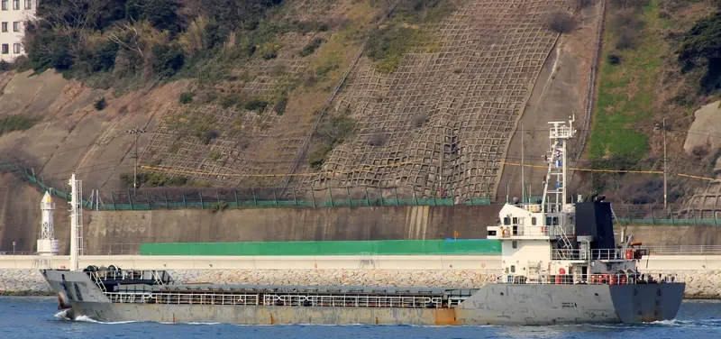 CHANG DA Bulk Carrier IMO 9342578 photo 8