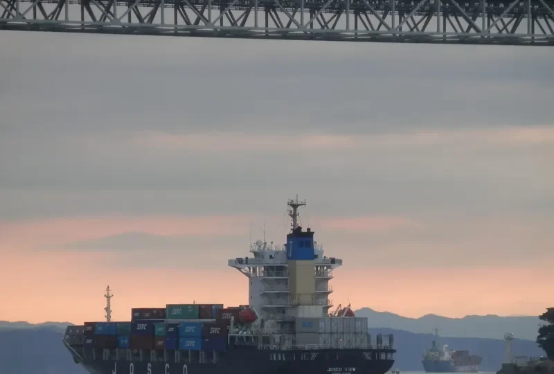 JOSCO VIEW Container Ship IMO 9342683 photo 6