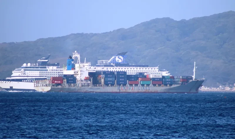 WAN HAI 317 Container Ship IMO 9342712 photo 2