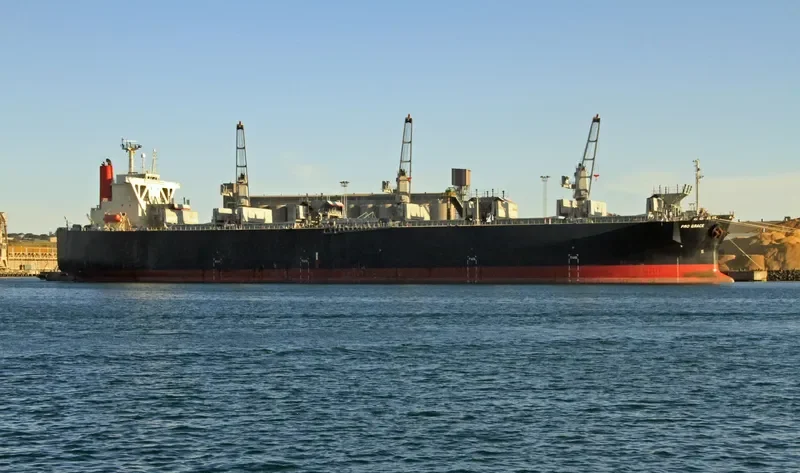 PRO GRACE Bulk Carrier IMO 9342736 photo 4