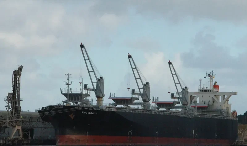 PRO GRACE Bulk Carrier IMO 9342736 photo 5