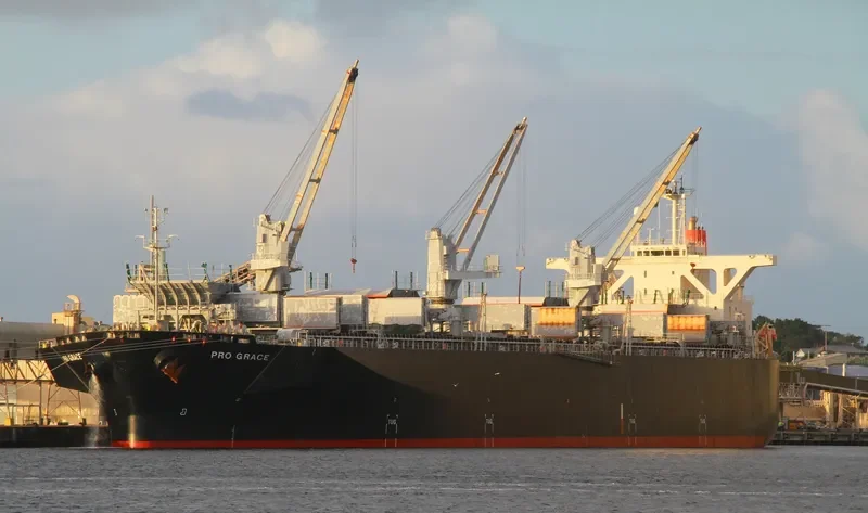 PRO GRACE Bulk Carrier IMO 9342736 photo 9
