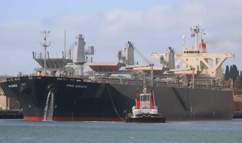 PRO GRACE Bulk Carrier IMO 9342736 photo 10